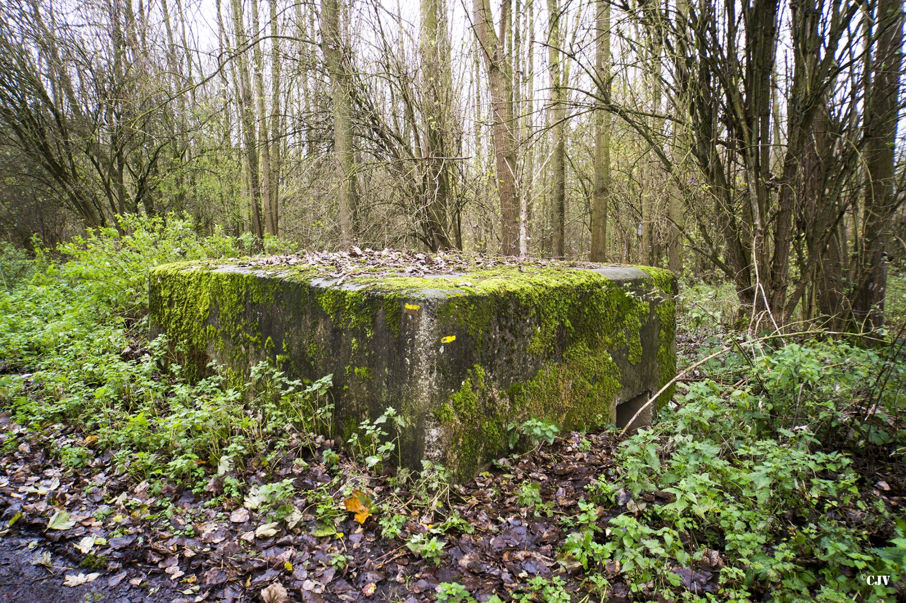 Ligne Maginot - B435 - CONDE 16 - (Blockhaus pour arme infanterie) -  - Lia VERMEULEN