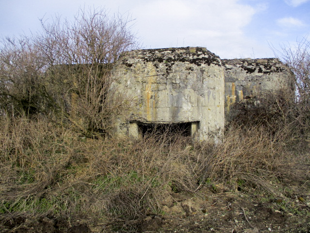 Ligne Maginot - A58 - JENLAIN OUEST - (Blockhaus lourd type STG / STG-FCR - Double) -  - Smardz Félix