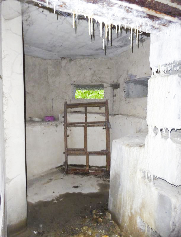 Ligne Maginot - A59 - PRESEAU EST - (Blockhaus lourd type STG / STG-FCR - Double) - L'observatoire - François VILLARS