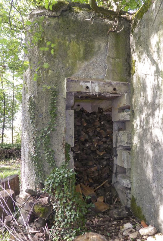 Ligne Maginot - A59 - PRESEAU EST - (Blockhaus lourd type STG / STG-FCR - Double) -  - François VILLARS