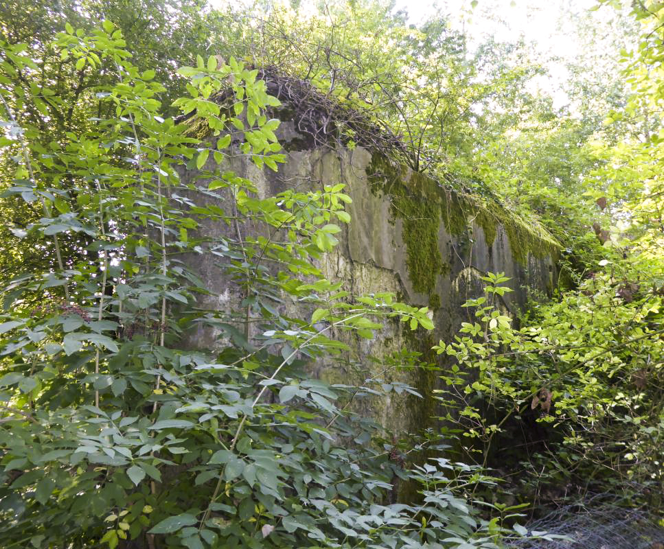 Ligne Maginot - A59 - PRESEAU EST - (Blockhaus lourd type STG / STG-FCR - Double) -  - François VILLARS