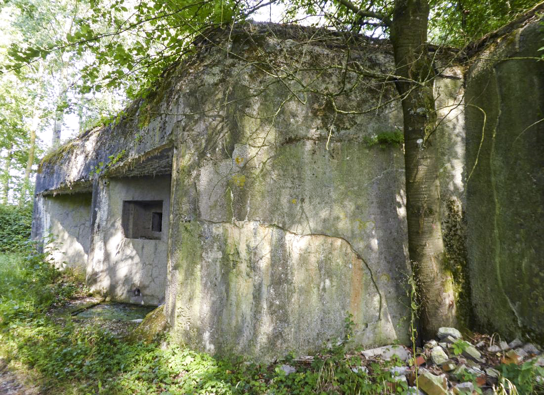 Ligne Maginot - A59 - PRESEAU EST - (Blockhaus lourd type STG / STG-FCR - Double) -  - François VILLARS
