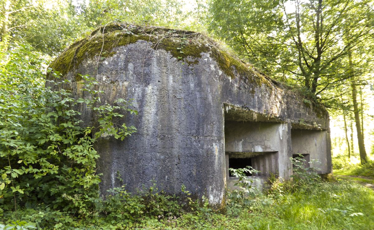 Ligne Maginot - A59 - PRESEAU EST - (Blockhaus lourd type STG / STG-FCR - Double) -  - François VILLARS