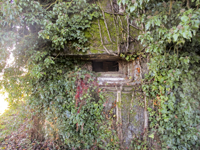 Ligne Maginot - A61 - NOYER - LE PHILANTHROPE - (Blockhaus lourd type STG / STG-FCR - Simple) -  - Smardz Félix