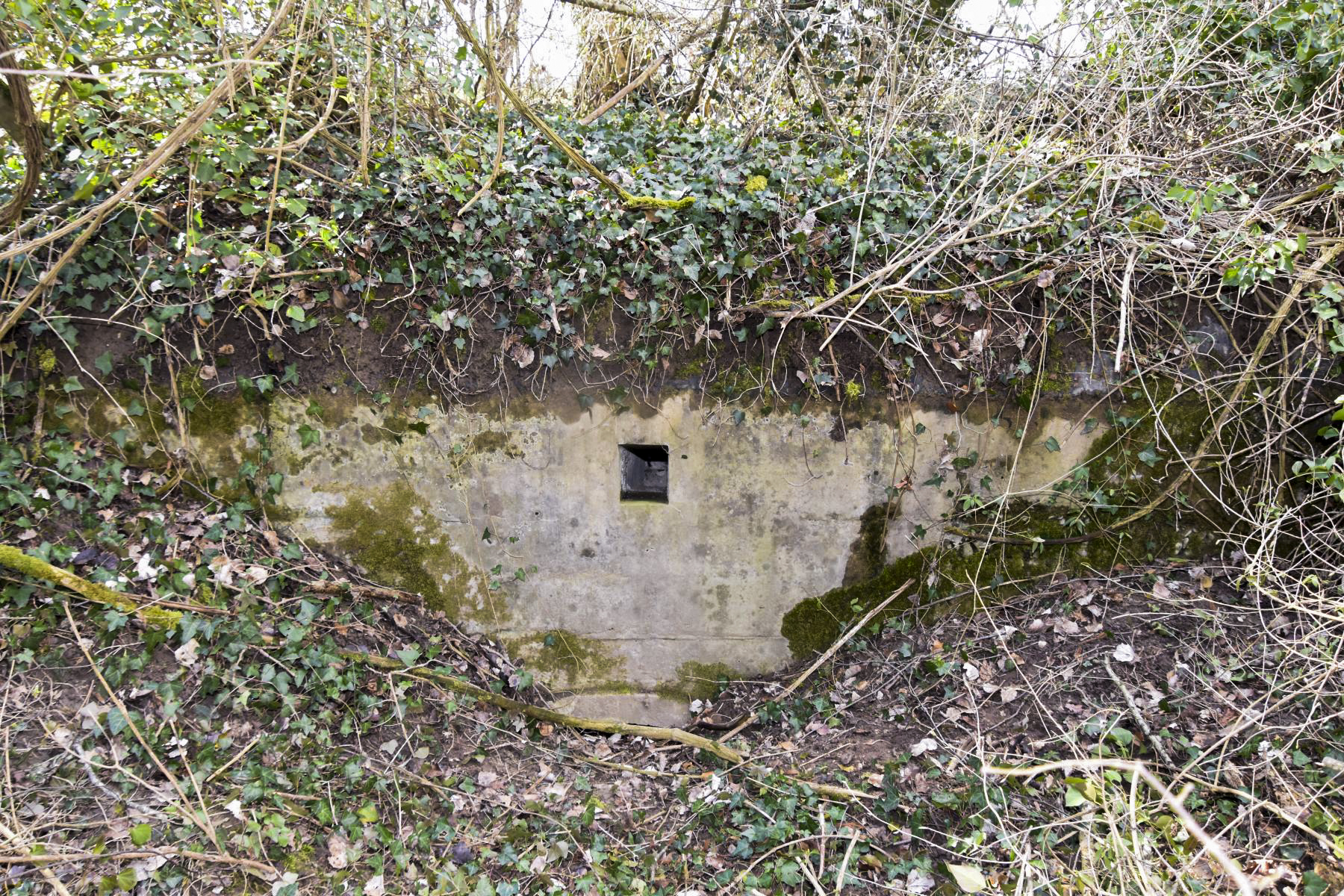 Ligne Maginot - GEISSMATTEN 3 - (Abri) - La façade avec l'aération et la fenêtre comblée. - Daniel Froehly