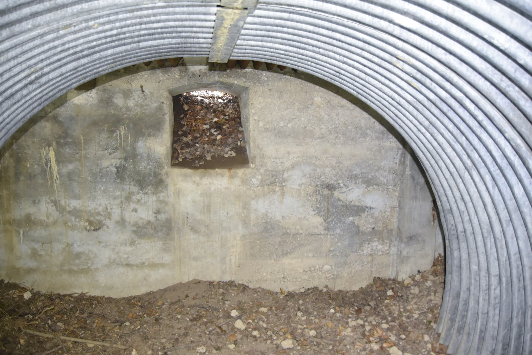 Ligne Maginot - GEISSMATTEN 3 - (Abri) - La pièce unique - Daniel Froehly