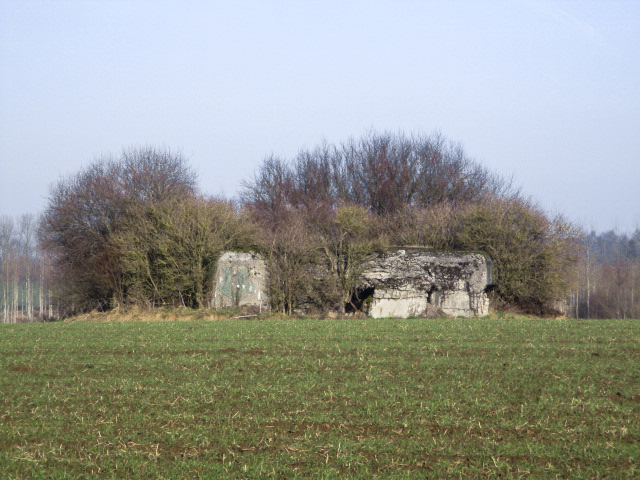 Ligne Maginot - A62 - MUGUET - (Blockhaus lourd type STG / STG-FCR - Double) - Blockhaus visible du chemin rural se dirigeant vers La Boiscrête. - Smardz Félix
