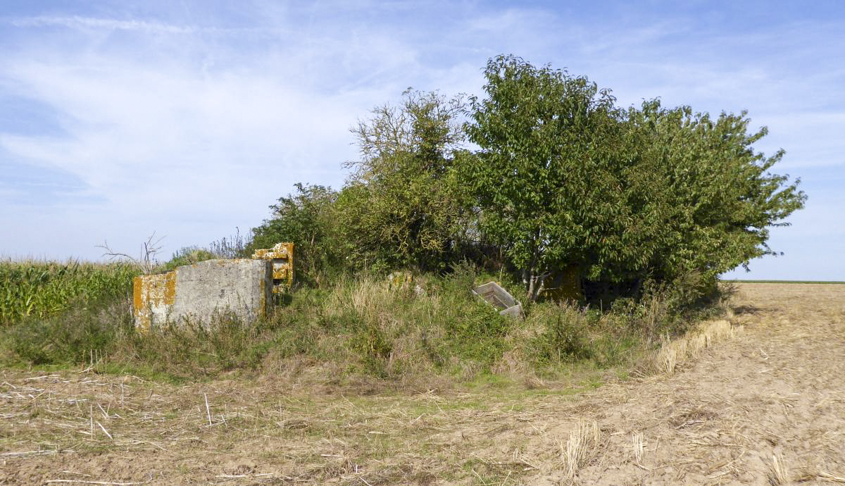 Ligne Maginot - A63BIS - VILLERS POL NORD - (Blockhaus lourd type STG / STG-FCR - Double) -  - François VILLARS