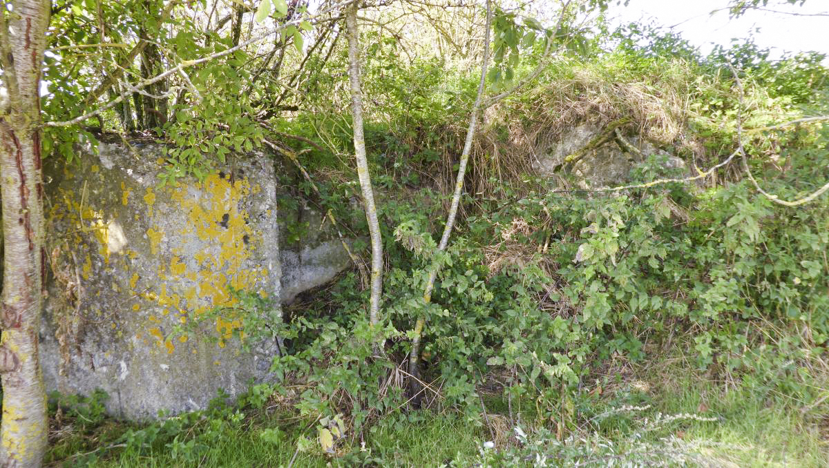 Ligne Maginot - A63BIS - VILLERS POL NORD - (Blockhaus lourd type STG / STG-FCR - Double) -  - François VILLARS
