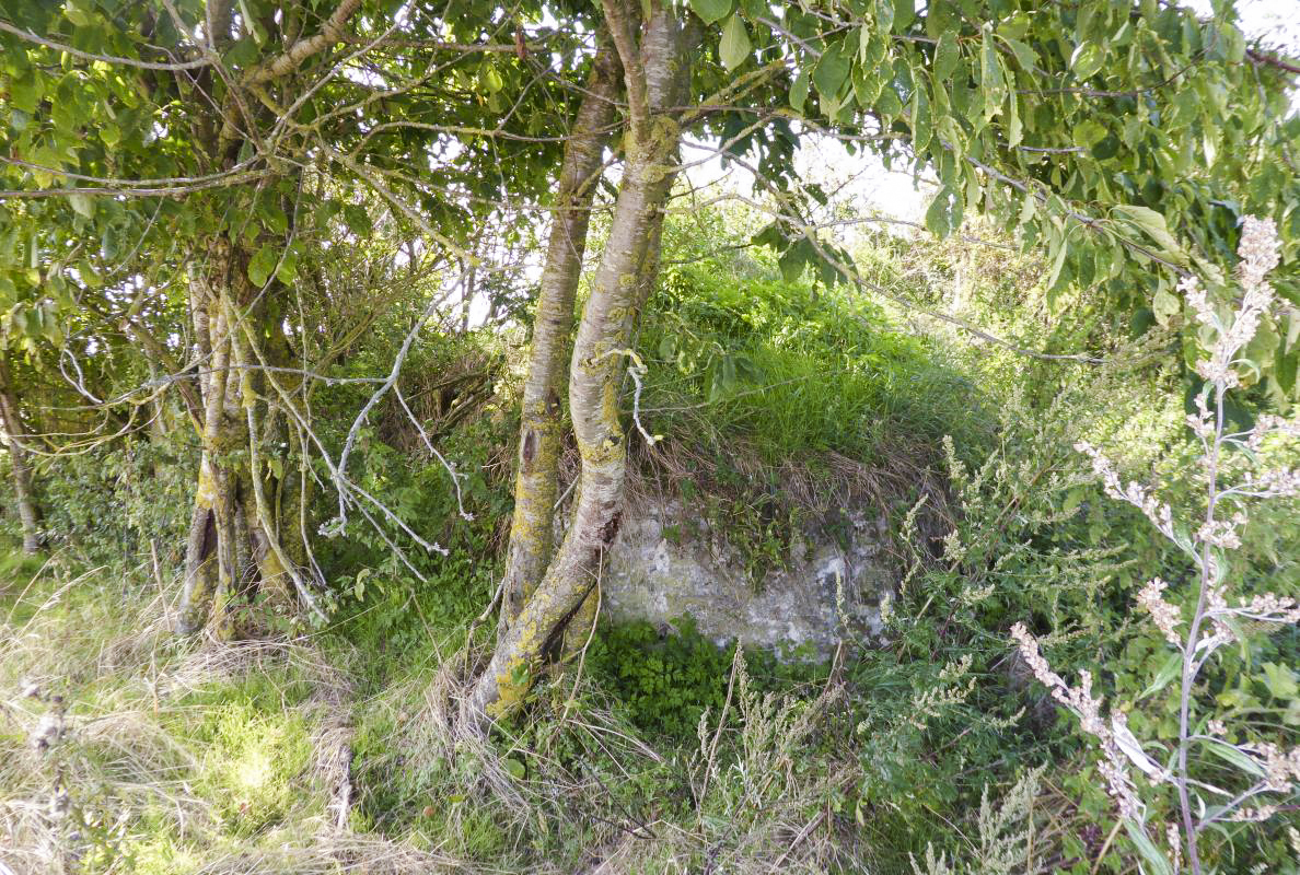Ligne Maginot - A63BIS - VILLERS POL NORD - (Blockhaus lourd type STG / STG-FCR - Double) -  - François VILLARS