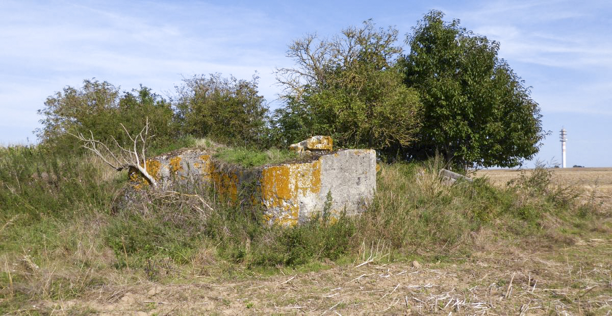 Ligne Maginot - A63BIS - VILLERS POL NORD - (Blockhaus lourd type STG / STG-FCR - Double) -  - François VILLARS