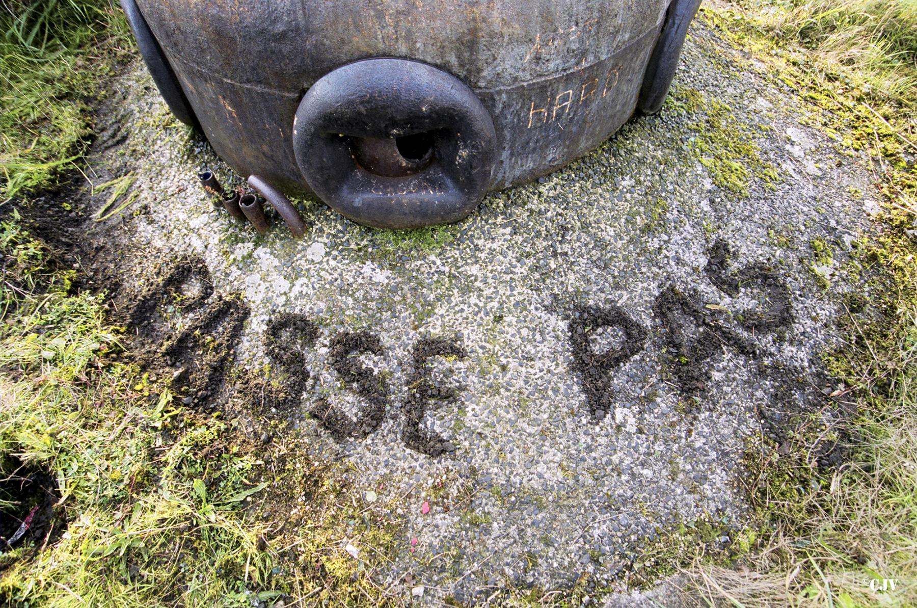 Ligne Maginot - CIMETIERE D'ESCAUPONT EST - C12 - (Casemate d'infanterie) -  - Caspar Vermeulen