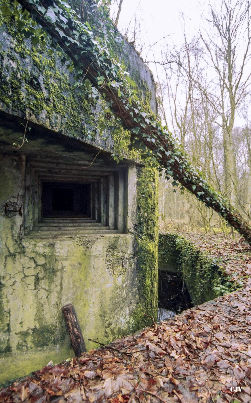 Ligne Maginot - Casemate de la DRÈVE SAINT ANTOINE - C6 -  - Caspar Vermeulen