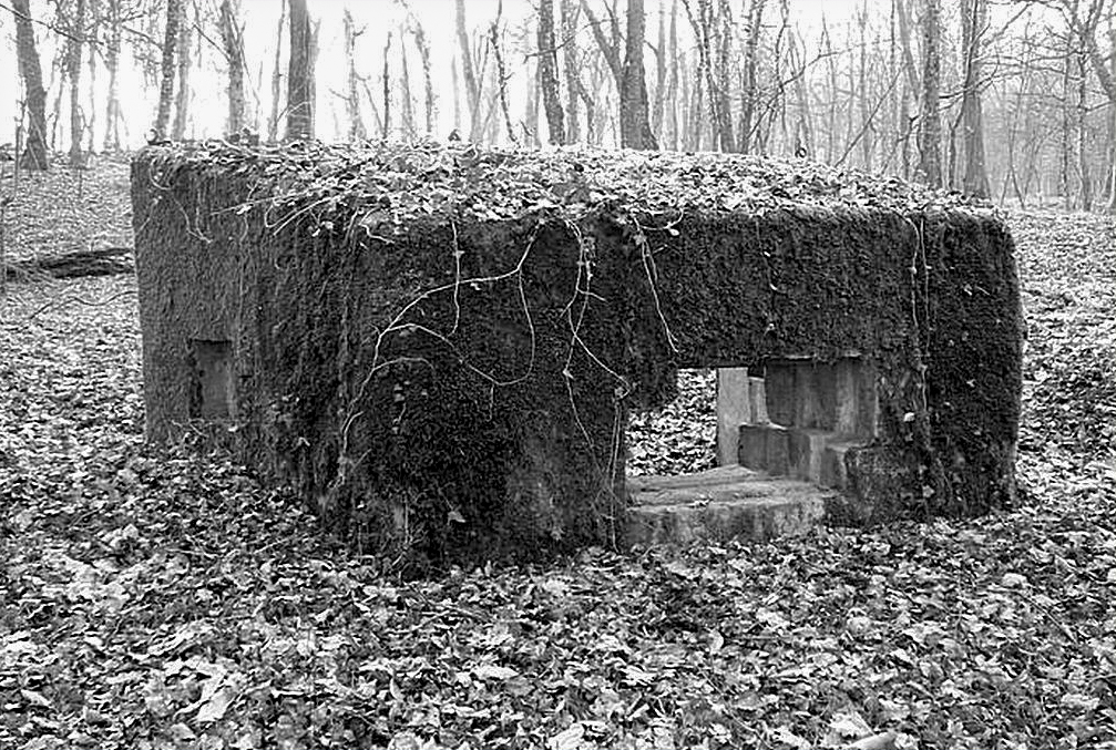 Ligne Maginot - CBO2 - (Blockhaus pour canon) -  - Sylvie Laure LAMBERT