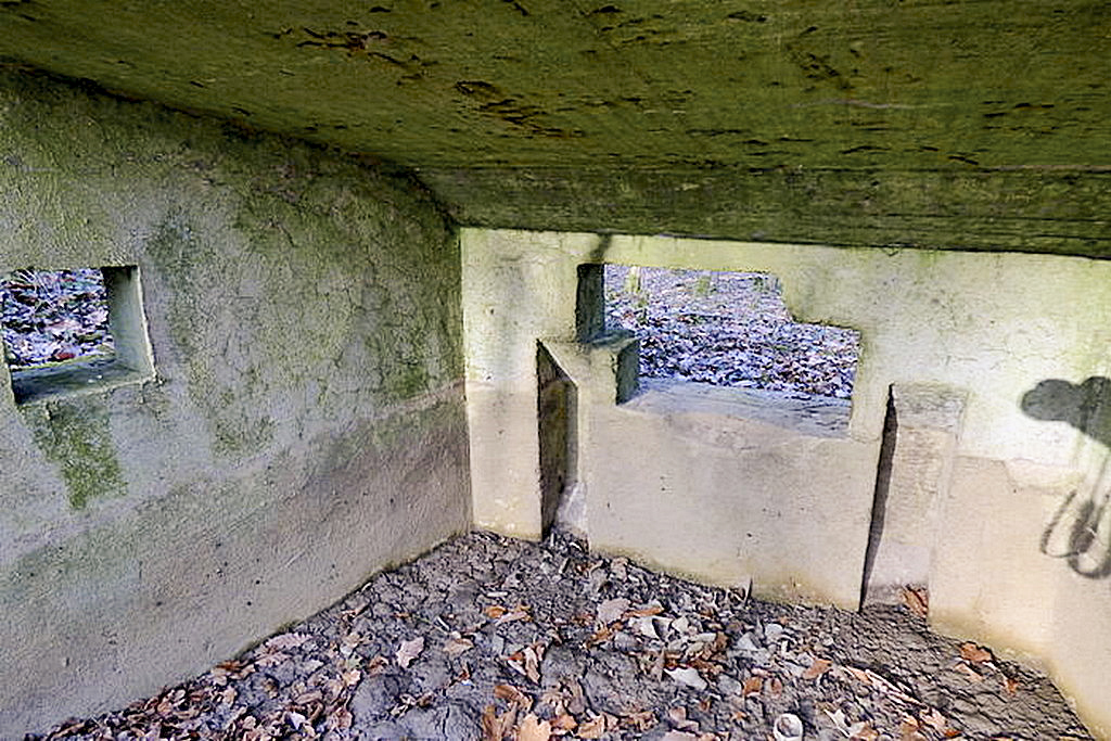 Ligne Maginot - CBO2 - (Blockhaus pour canon) -  - Sylvie Laure LAMBERT
