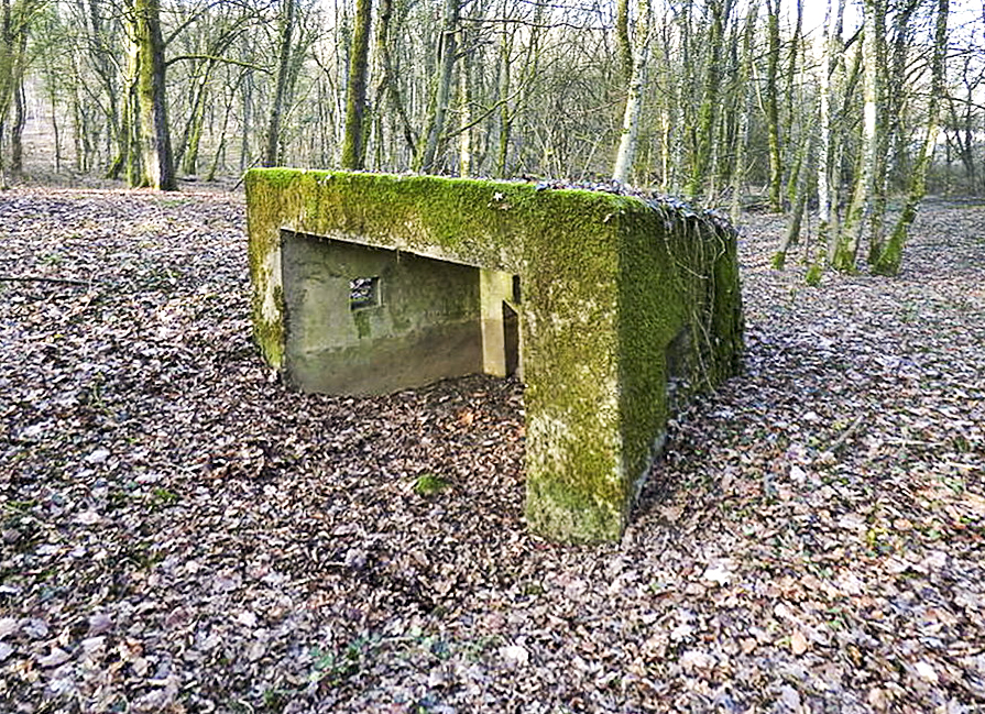 Ligne Maginot - CBO2 - (Blockhaus pour canon) -  - Sylvie Laure LAMBERT
