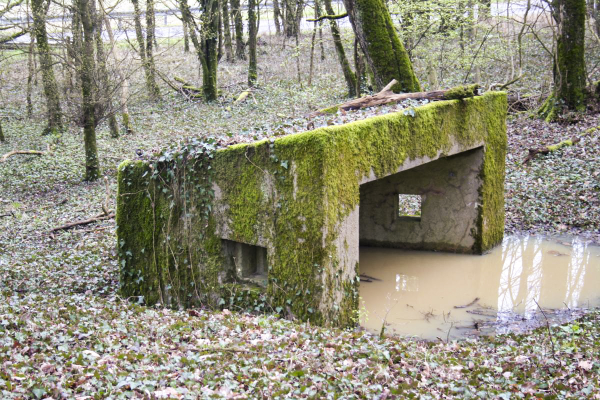 Ligne Maginot - CBO2 - (Blockhaus pour canon) -  - Michel Teiten