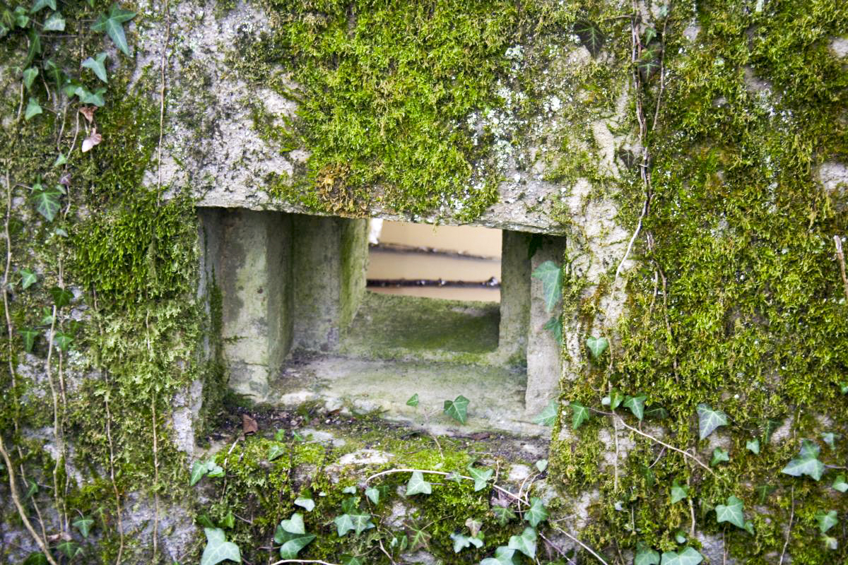 Ligne Maginot - CBO2 - (Blockhaus pour canon) - Petit créneau de défense rapprochée latéral - Michel Teiten