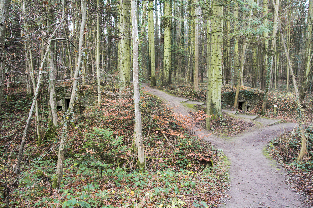 Ligne Maginot - BOIS BABERT (1 / 70° RAMF) - (PC) - Vue générale du PC. La troisième alvéole, non visible sur la photo est vers la droite. - Michel Teiten