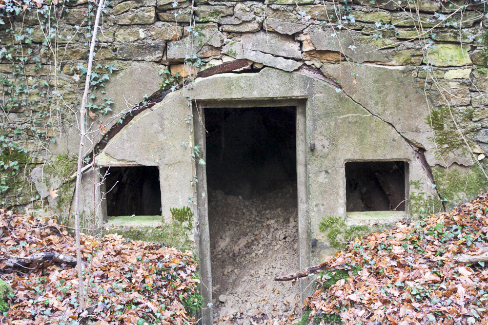 Ligne Maginot - BOIS BABERT (1 / 70° RAMF) - (PC) - Vue de l'alvéole de droite en 2011. Le toit est déjà crevé et l'alvéole commence à se remplir de terre. - Michel Teiten
