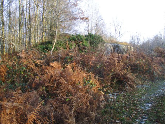 Ligne Maginot - HAUTE RIVE - C5 - (Casemate d'infanterie - double) -  - Smardz Félix