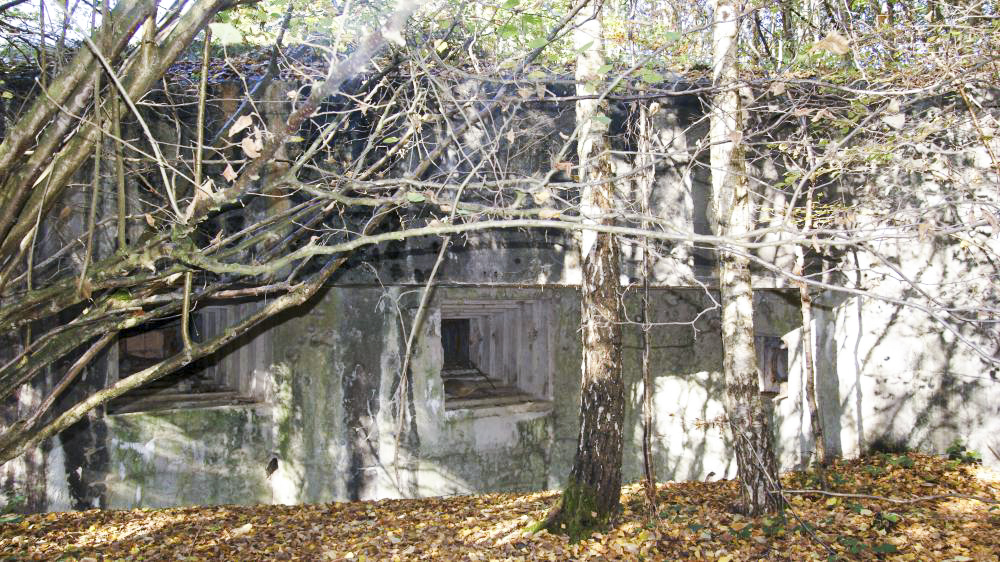 Ligne Maginot - HAUTE RIVE - C5 - (Casemate d'infanterie - double) -  - Segers