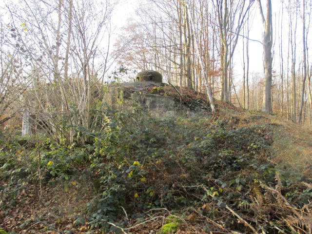 Ligne Maginot - HAUTE RIVE - C5 - (Casemate d'infanterie - double) -  - Smardz Félix