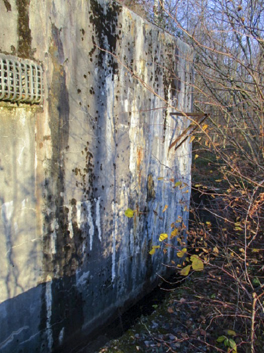 Ligne Maginot - HAUTE RIVE - C5 - (Casemate d'infanterie - double) -  - Smardz Félix