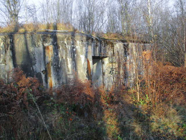 Ligne Maginot - HAUTE RIVE - C5 - (Casemate d'infanterie - double) -  - Smardz Félix