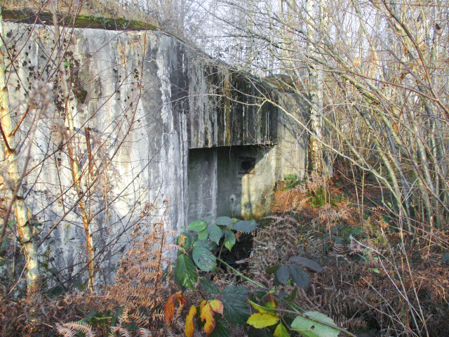 Ligne Maginot - HAUTE RIVE - C5 - (Casemate d'infanterie - double) -  - Smardz Félix