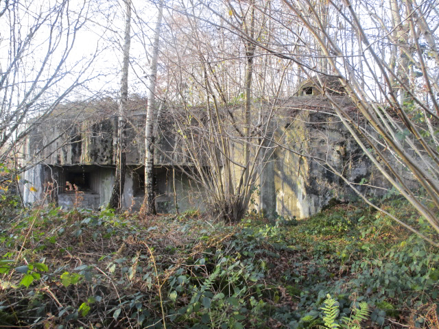 Ligne Maginot - HAUTE RIVE - C5 - (Casemate d'infanterie - double) -  - Smardz Félix