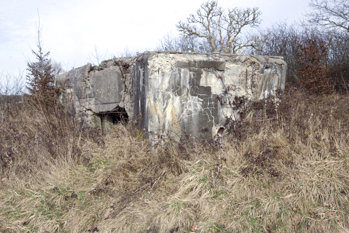 Ligne Maginot - C15N - LA BARRIERE 1 - (Blockhaus pour canon) - Façade arrière - Michel & Philippe ZIMMER