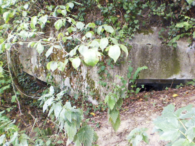Ligne Maginot - B425 - CONDE 1 - (Blockhaus pour canon) -  - Sébastien Bonnet