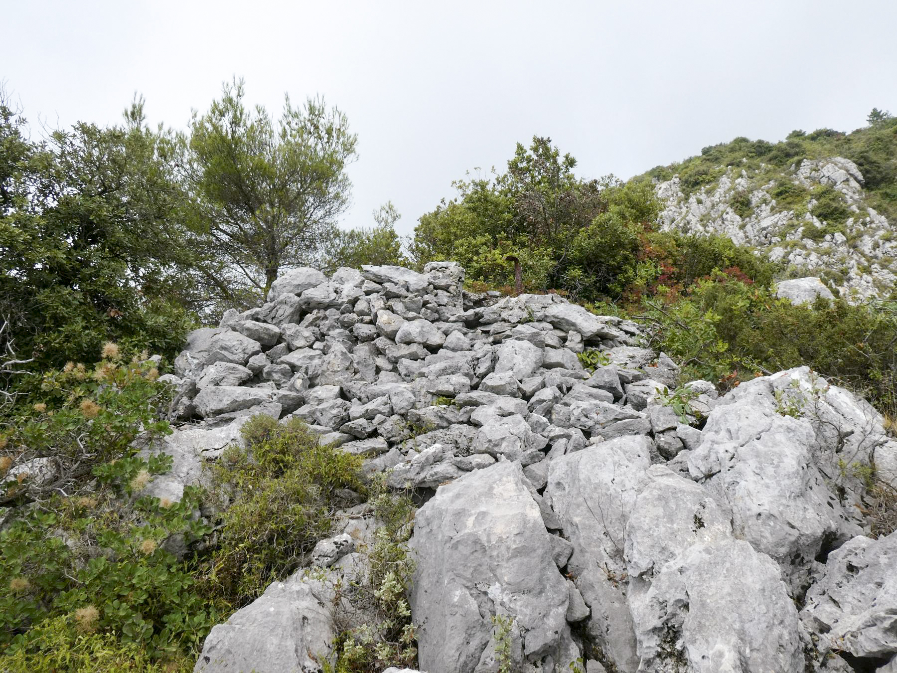Ligne Maginot - CIME DE BIANCON - (Observatoire d'artillerie) -  - Daniel ELLENA - Philippe CUNY