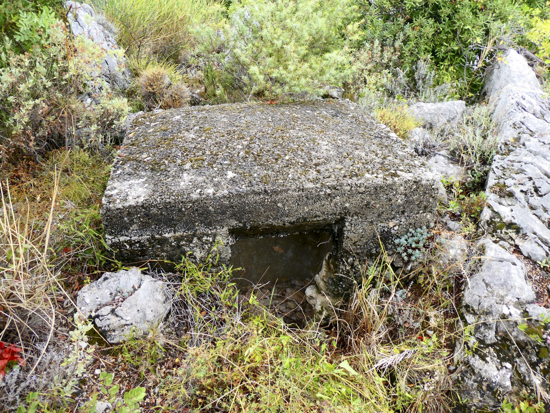 Ligne Maginot - CIME DE BIANCON - (Observatoire d'artillerie) - Mini blockhaus indéterminé - Daniel ELLENA - Philippe CUNY