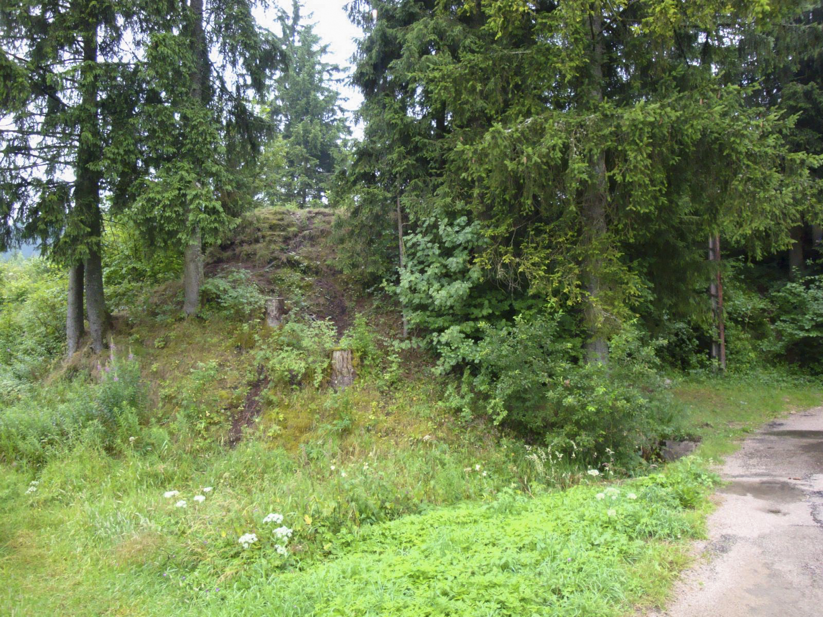 Ligne Maginot - B30 - FRAMBOURG OUEST - (Blockhaus pour canon) -  - Alain NICOLAS