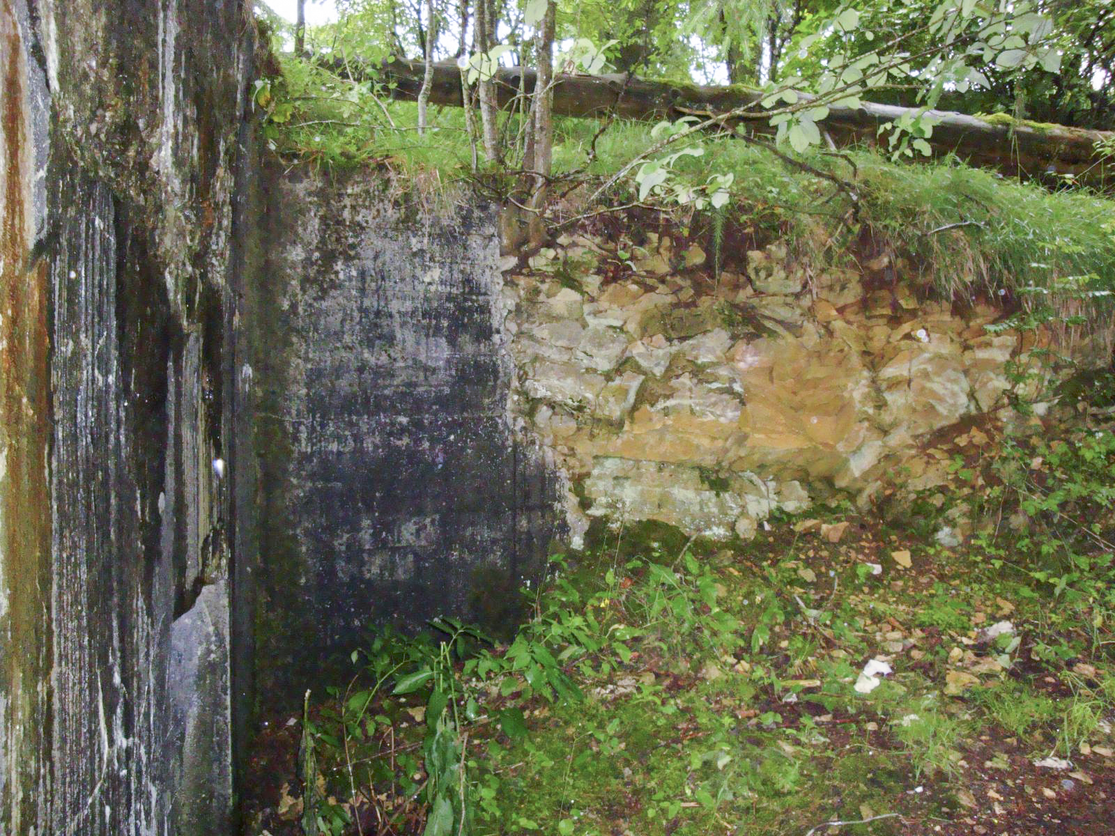 Ligne Maginot - B30 - FRAMBOURG OUEST - (Blockhaus pour canon) -  - Alain NICOLAS