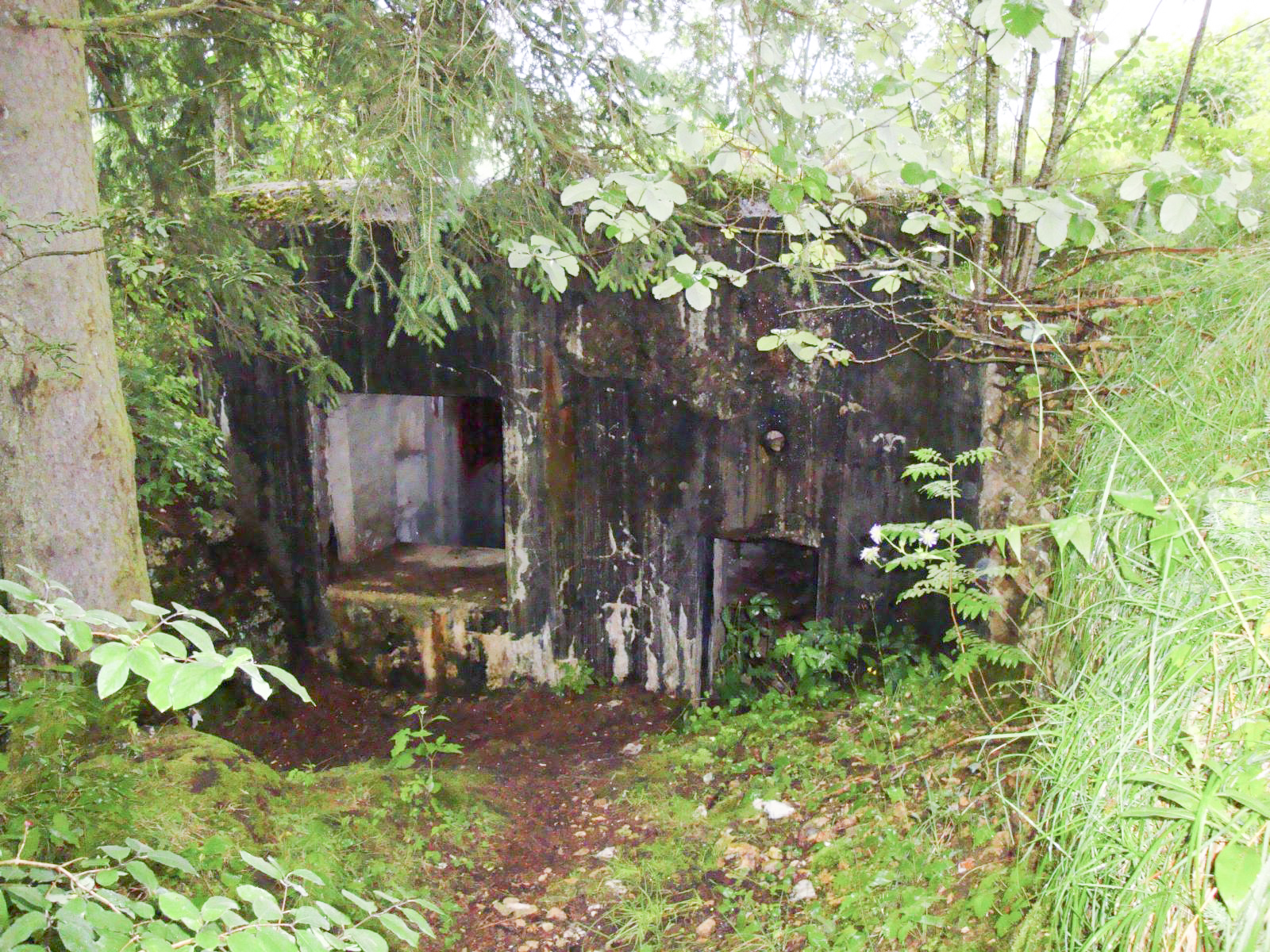 Ligne Maginot - B30 - FRAMBOURG OUEST - (Blockhaus pour canon) -  - Alain NICOLAS