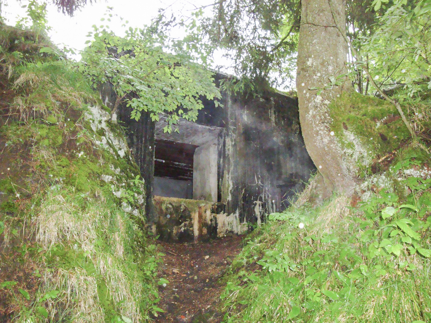 Ligne Maginot - B30 - FRAMBOURG OUEST - (Blockhaus pour canon) -  - Alain NICOLAS