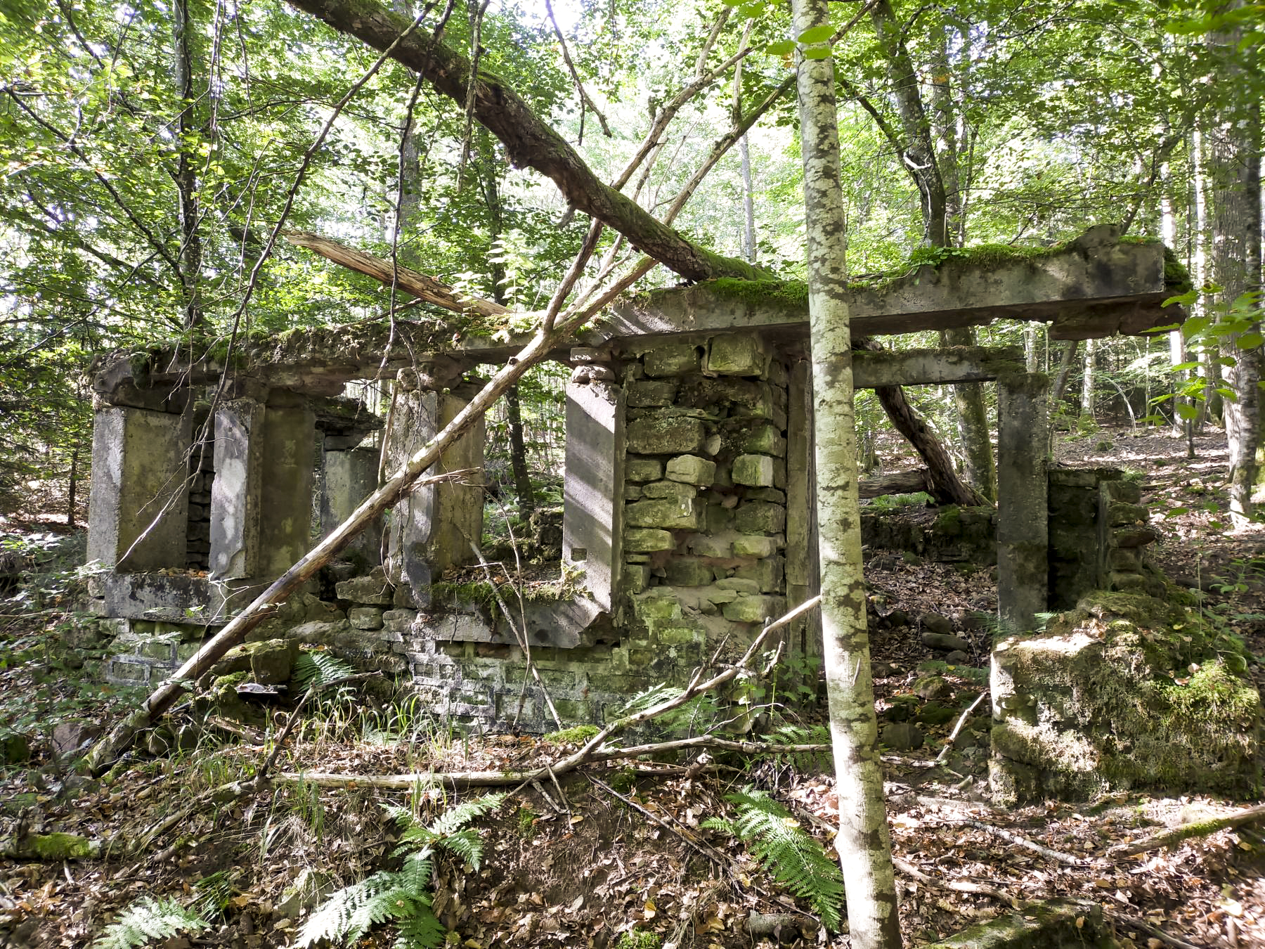 Ligne Maginot - GLASBRONN - (Casernement) -  - Julien Boulanger