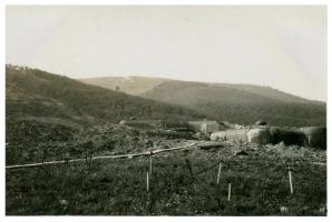 Ligne Maginot - HOCHWALD - (Ouvrage d'artillerie) - Bloc 6
Le bloc 1 à l'arrière plan