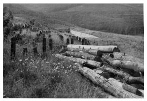 Ligne Maginot - HOCHWALD - (Ouvrage d'artillerie) - Bloc 3
Coffre de fossé