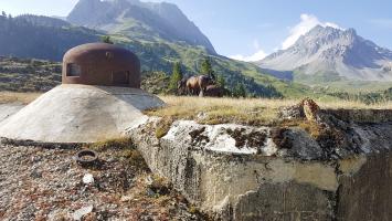 Ligne Maginot - LAVOIR - (Ouvrage d'artillerie) - Bloc 5
Cloche GFM nord