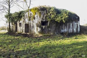 Ligne Maginot - B536 - LA TOURNICHETTE - (Blockhaus pour canon) - 