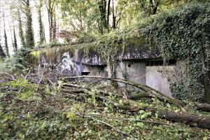 Ligne Maginot - ACA2 - STOCKEN - (Casemate d'artillerie) - La casemate n'est plus entretenue et la végétation a repris le dessus
2021