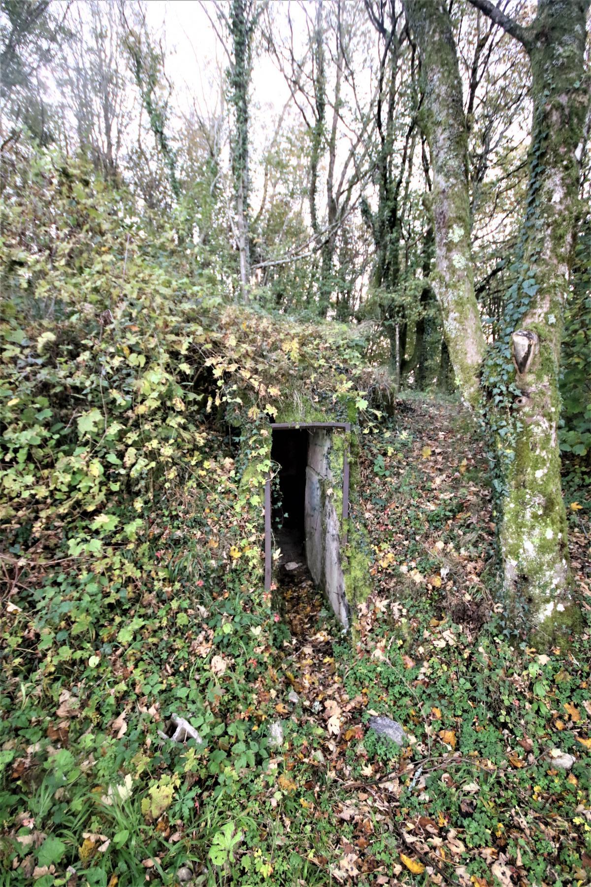 Ligne Maginot - TETING - A38 - (Ouvrage d'infanterie) -  - Michel & Philippe ZIMMER