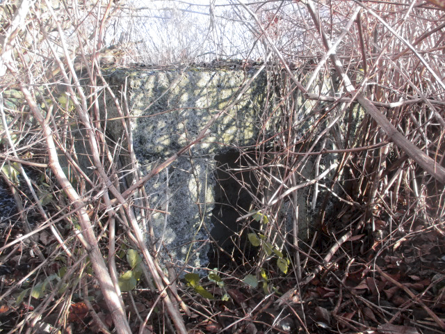 Ligne Maginot - B442 - VOIE-FERREE - Blockhaus situé à proximité de l'ancienne voie ferré SNCF Fresnes-s-Escaut Blanc-Misseron. - Smardz Félix