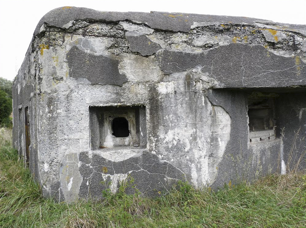 Ligne Maginot - B445 - LA VOIE-NOIRE - (Blockhaus pour canon) -  - Sylvie Laure LAMBERT