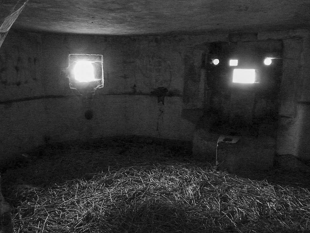Ligne Maginot - B445 - LA VOIE-NOIRE - (Blockhaus pour canon) -  - Sylvie Laure LAMBERT