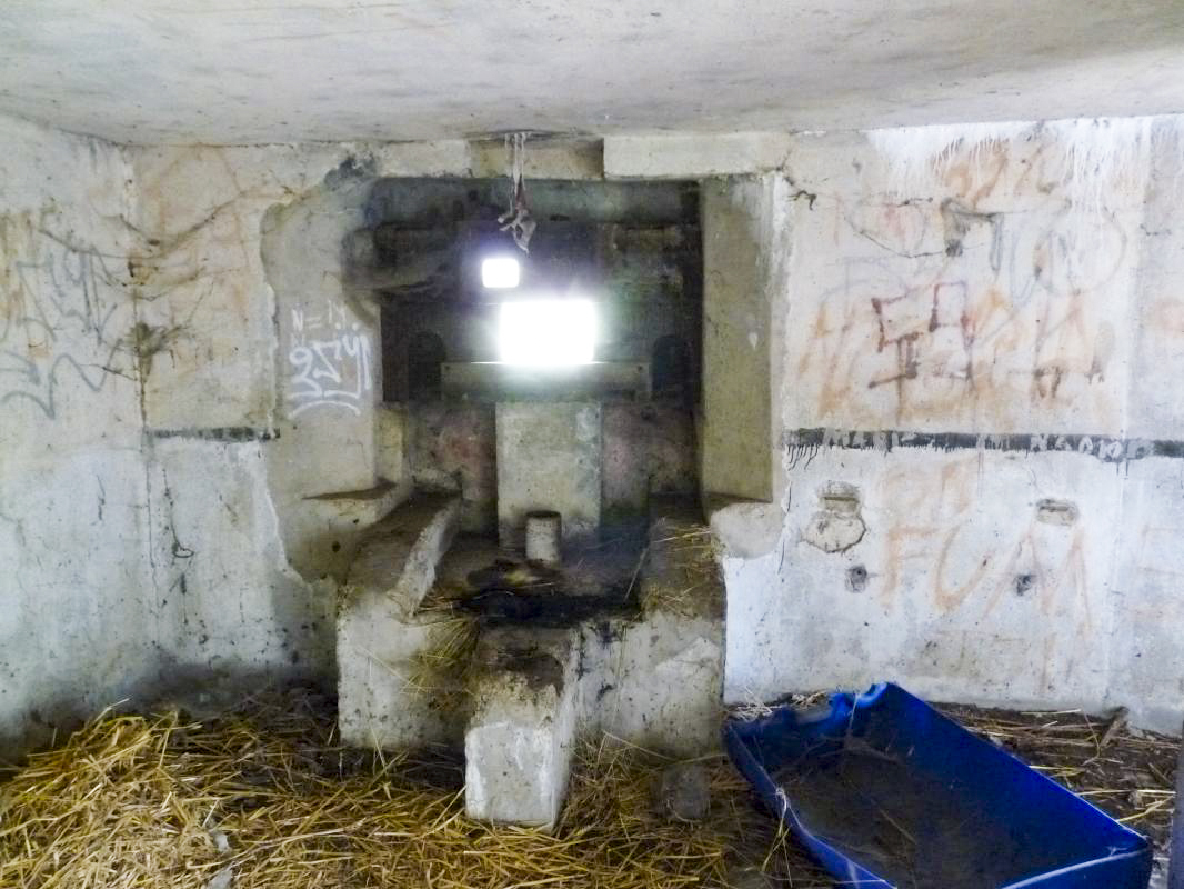 Ligne Maginot - B445 - LA VOIE-NOIRE - (Blockhaus pour canon) -  - Sylvie Laure LAMBERT